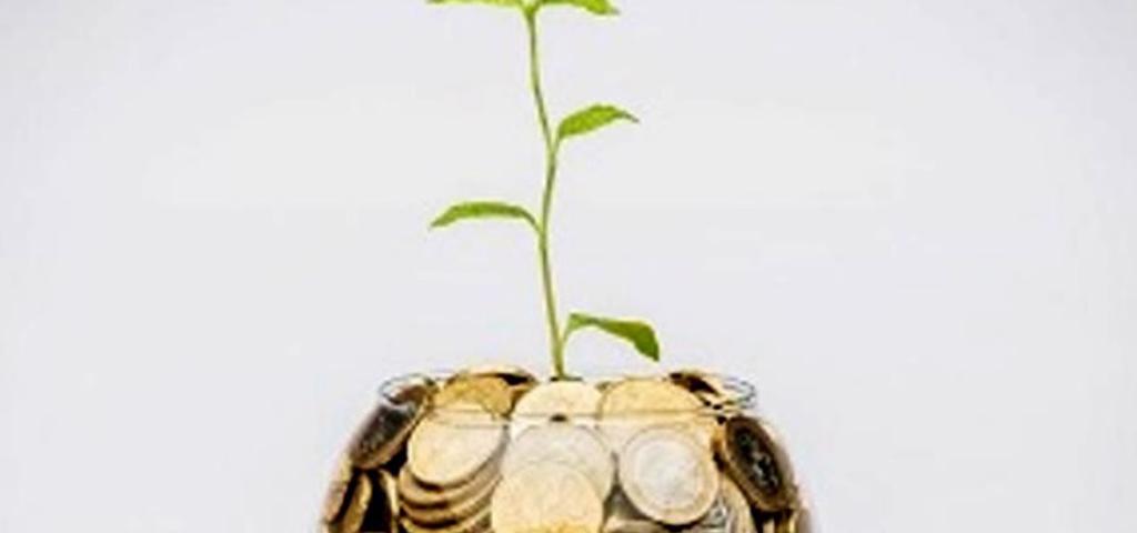 Greek government launches a working group for sustainable financing and green economic transition